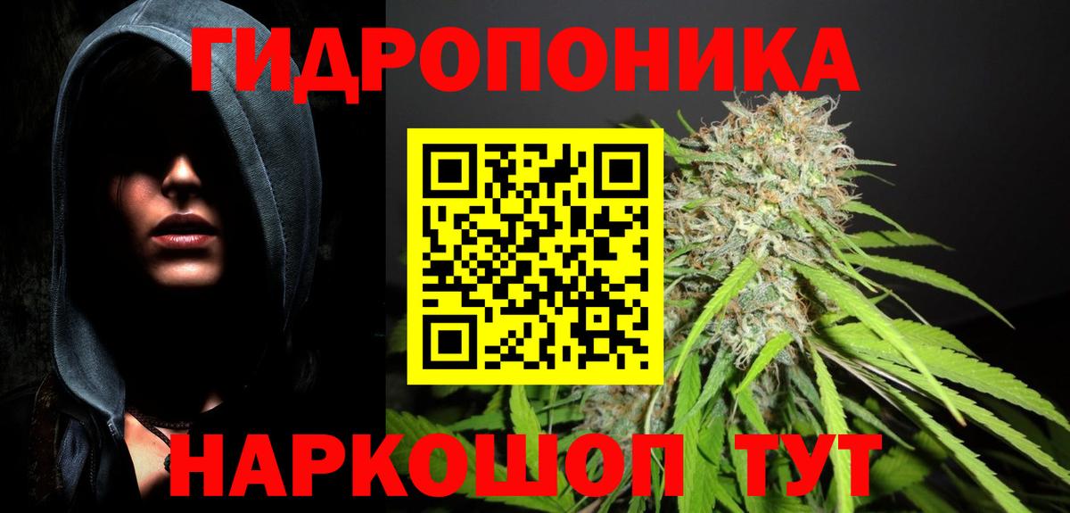 Лесной  МАРИХУАНА VHQ  Вход с VPN  Бошки марихуана индика 